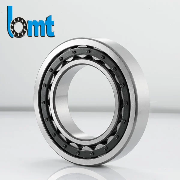 Single Row Full Complement Cylindrical Roller Bearings Single Row Full Complement Cylindrical Roller Bearings